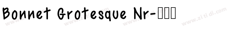 Bonnet Grotesque Nr字体转换